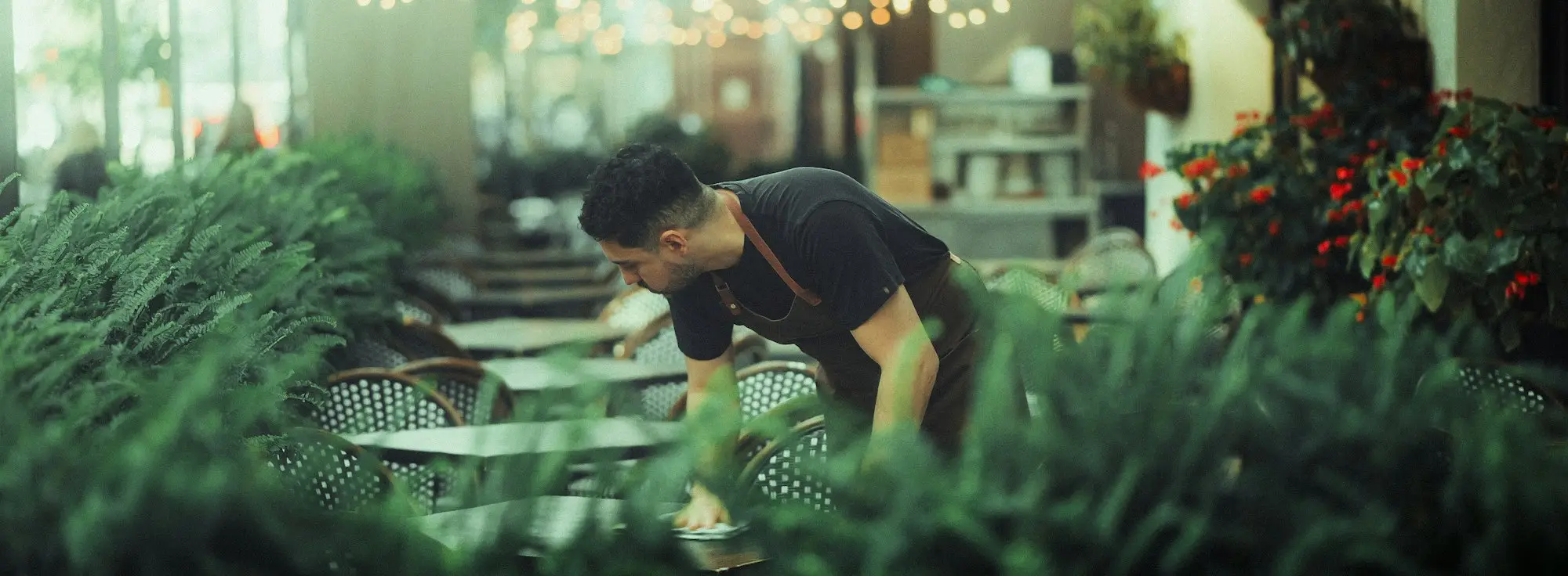 Cafe owner setting up tables among indoor plants before opening, a small business owner weighing up sharing bank data for a loan
